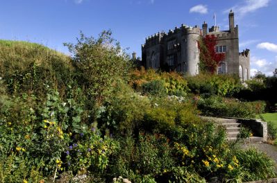 Birr_Castle_Demesne_Web_Size_c_Tourism_Ireland.jpg