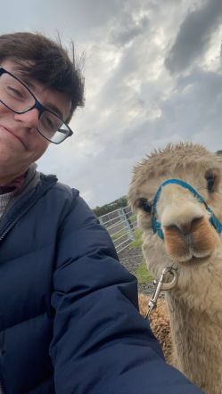 21_-_Bowbridge_Alpacas.JPG