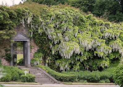 Mount_Congreve_Gardens_Co_Waterford_Web_Size_courtesy_Mount_Congreve_Gardens.jpg