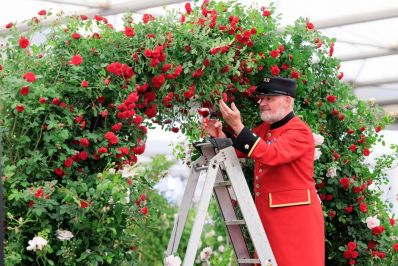 Preparing_for_Chelsea_Flower_Show._RHS_-_Oliver_Dixon.jpg